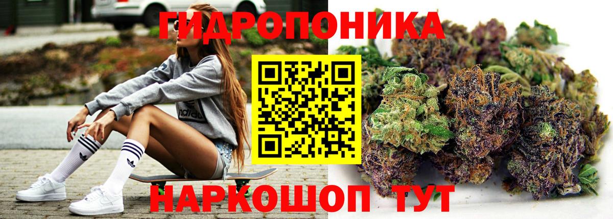 Конопля марихуана Бузулук